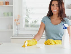 House Cleaning Service in Tufnell Park, N7