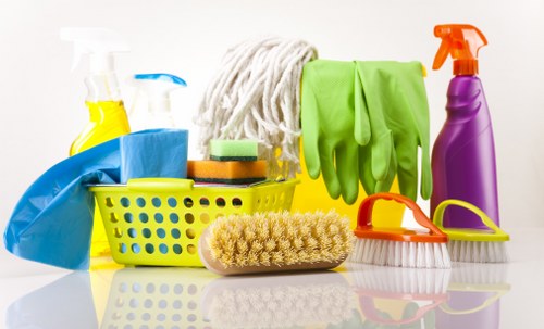 Upholstery cleaning process for a living room sofa