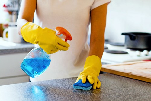 Professional mattress cleaning service for Tufnell Park homes