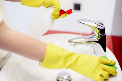 Professional carpet cleaning service introduction in Tufnell Park