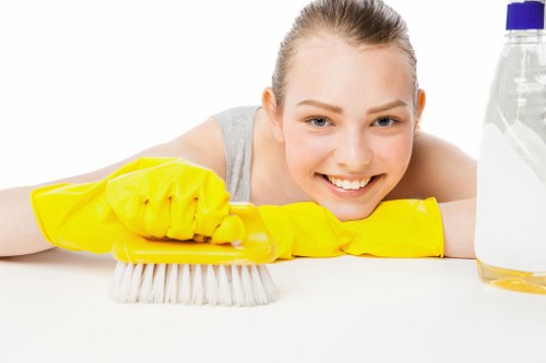 Carpet cleaning team preparing equipment safely in Tufnell Park