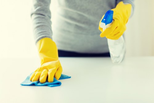 Careful stain removal for residential carpets and furniture in Tufnellpark
