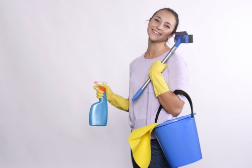 Clean and refreshed mattress care service for homes and rentals in Tufnell Park