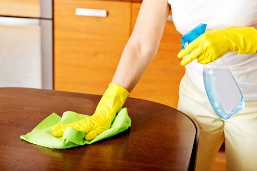 Local oven cleaning service for homes and businesses in Tufnellpark